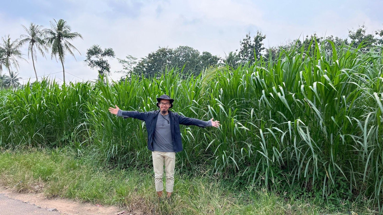 HiFeed Dapat Pendanaan dari Wavemaker Impact, Kurangi Jejak Karbon Peternakan Sapi