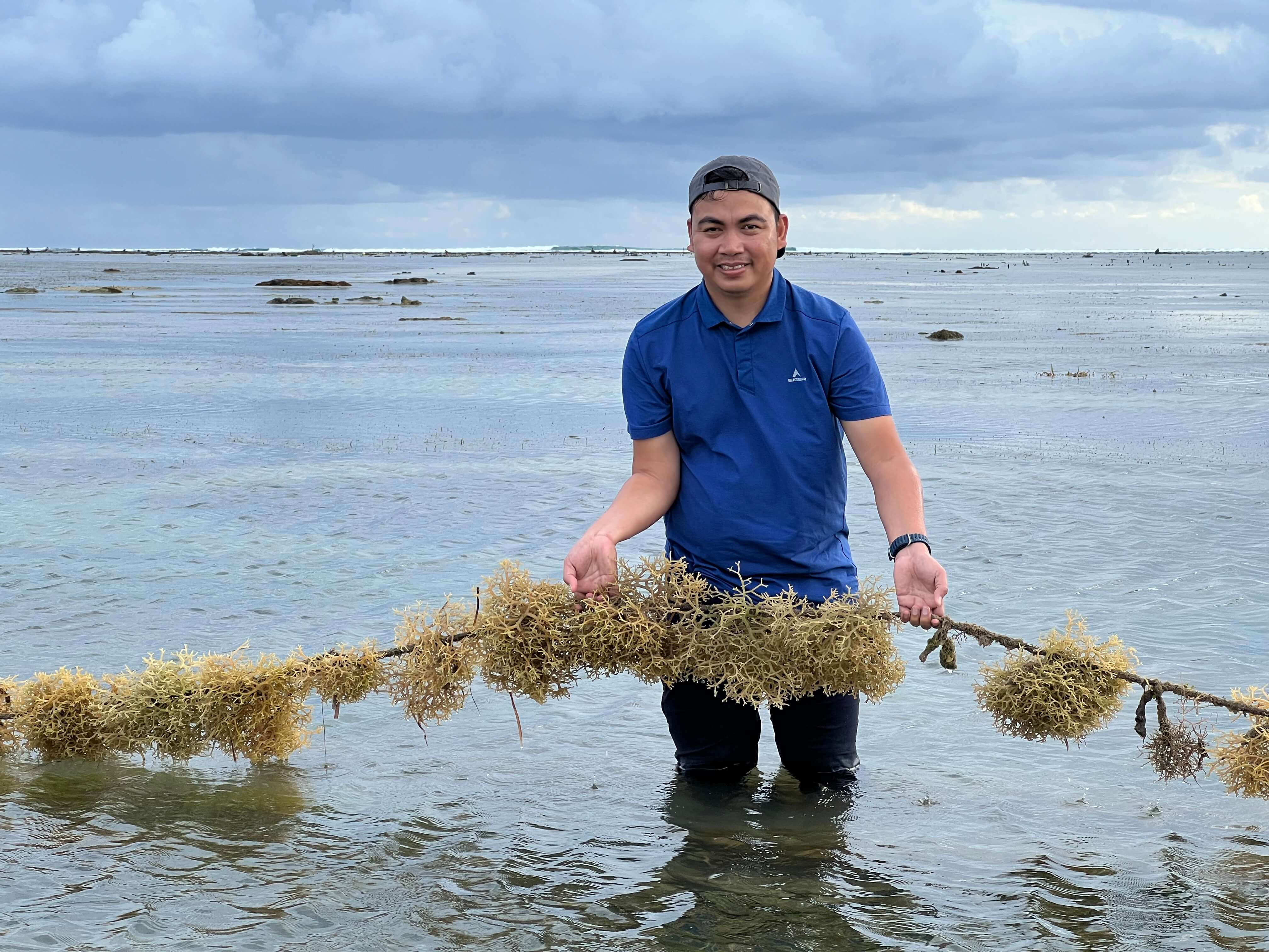 Startup Budidaya Rumput Laut “Banyu” Raih Pendanaan Rp20,3 Miliar Dipimpin Intudo